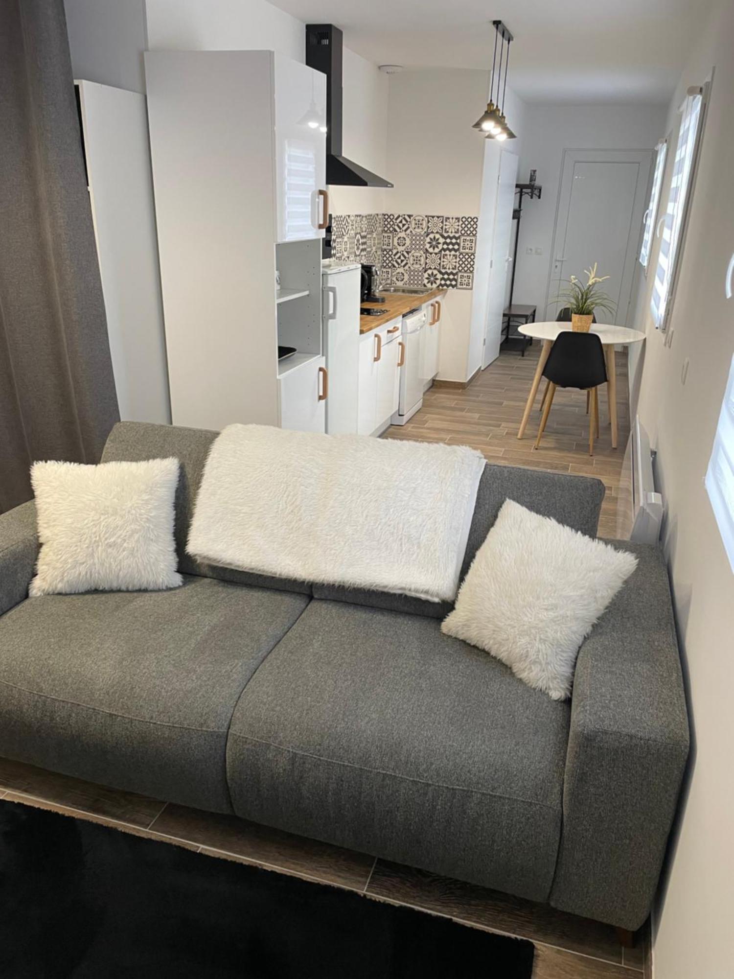 Studio Bien Situe & Tout Equipe Dans Une Maison Сьонзье Экстерьер фото